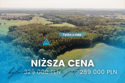 działka na sprzedaż 6500m2 działka Ełganowo, Macierzy Szkolnej