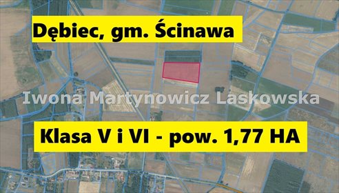 działka na sprzedaż 38100m2 działka Dębiec