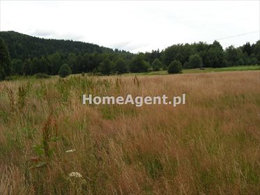 działka na sprzedaż 14591m2 działka Skawica, Sucha Góra