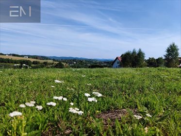 działka na sprzedaż 12100m2 działka Glinik Średni