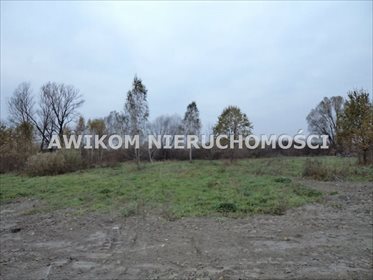 Duża działka 7400 m² z prądem, dojazd asfaltowy działka Żabia Wola, Ciepłe A