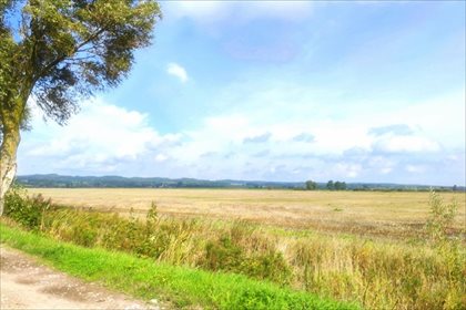 działka na sprzedaż 100163m2 działka Bogaczewo, Elbląg