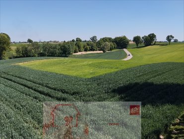 działka na sprzedaż 2500m2 działka Moszenki