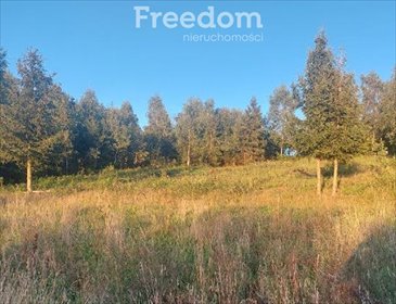 Przestronna działka z widokiem, media, las, jeziora działka Klonowo Górne, Świerkowa