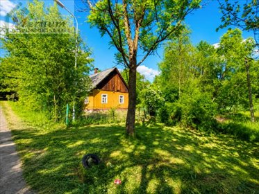 Urokliwy drewniany dom na dużej działce 57 arów. dom Kombornia