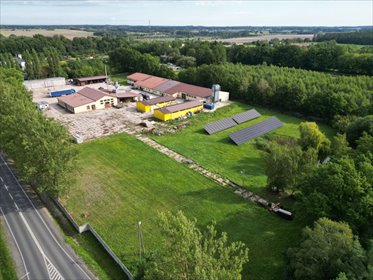 Zapraszam do zakupu działki 11 948 m² w Dłutowie działka Dłutów