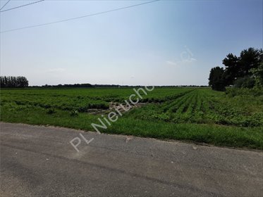 działka na sprzedaż 16700m2 działka Umiastów