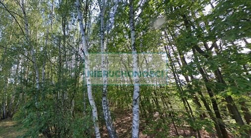 Działka budowlana 1768 m² w spokojnej okolicy z mediami działka Budy Zosine