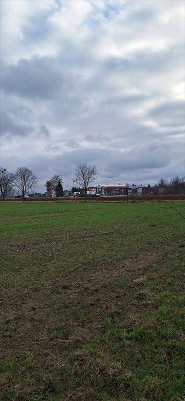 Na sprzedaż działki rolne z potencjałem inwestycyjnym przy DK 94 działka Krępice