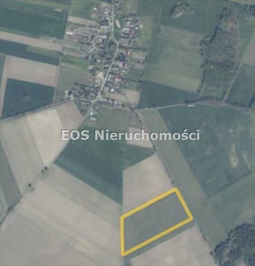 działka na sprzedaż 52000m2 działka Lestkowo