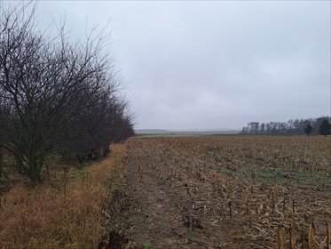 działka na sprzedaż 2217m2 działka Złotniki, Złotniki, Kochonowskiego