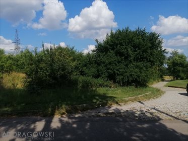 Działka budowlana na sprzedaż Ryki 8 707m2 Foto 3