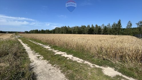 działka na sprzedaż 3007m2 działka Kicin, św. Jakuba