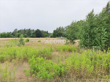 Na sprzedaż działka 2000 m² w Michałowie - idealna pod dom i działalność działka Michałów