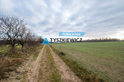 działka na sprzedaż 5915m2 działka Pierwoszyno