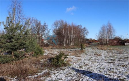 Duża działka 1240 m² z warunkami zabudowy, Poznań działka Poznań, Dębicka