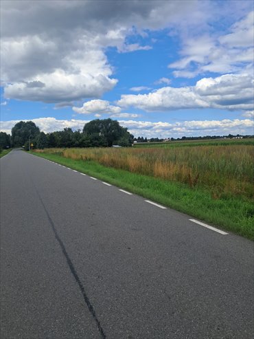 Działki budowlane w Zborowie - szybki dojazd zapraszam działka Żelazków, Zborów