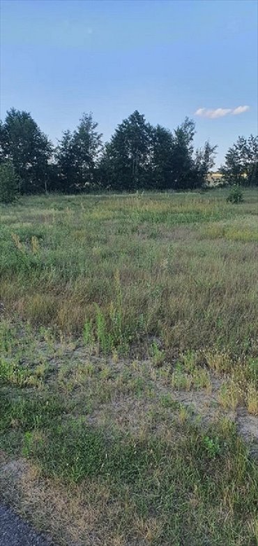 działka na sprzedaż 1452m2 działka Szczytniki, Pośrednik