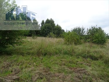 Działka rolna na sprzedaż Korytków 10 800m2 Foto 3