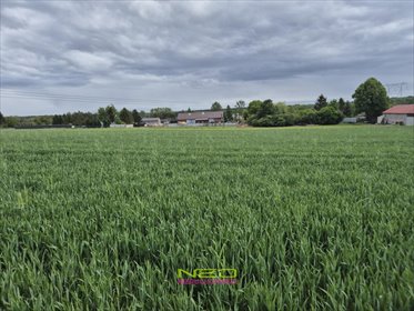 Działka 4470 m² w Opatowie - idealna pod inwestycję działka Opatów