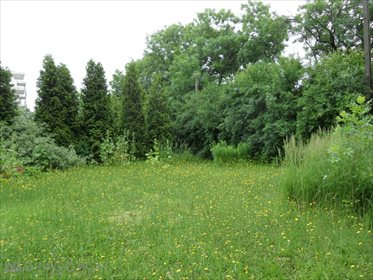 Działka budowlana na sprzedaż Warszawa, Bemowo, Jelonki 1 023m2 Foto 1
