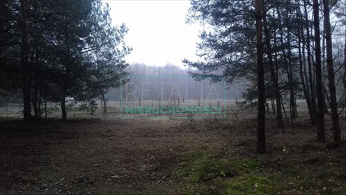 działka na sprzedaż 25000m2 działka Bystrzanów