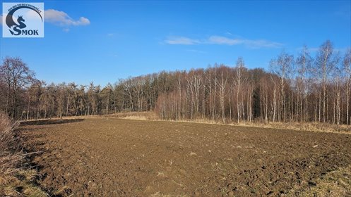 Widokowa działka w Łuczycach, 2000 m², media w ulicy działka Łuczyce