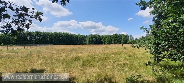 działka na sprzedaż 5980m2 działka Brody