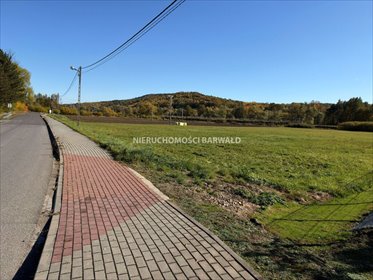 działka na sprzedaż 10008m2 działka Kalwaria Zebrzydowska