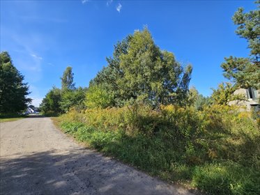 Działka z lasem i potencjałem inwestycyjnym – spłaci się! działka Mieszkowice, Słoneczne Wzgórze