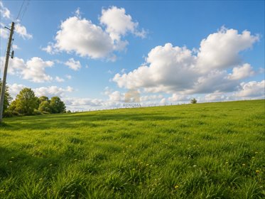 działka na sprzedaż 5746m2 działka Nowe Siodło