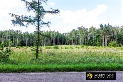 działka na sprzedaż 3557m2 działka Szerenosy