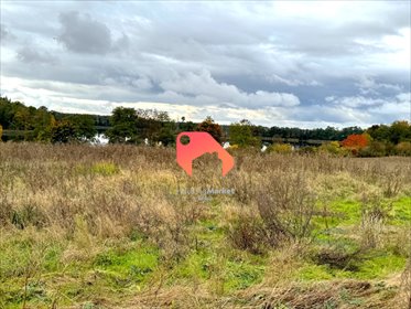 działka na sprzedaż 5400m2 działka Murucin