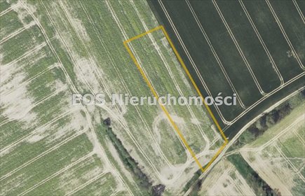 działka na sprzedaż 5700m2 działka Biskupów