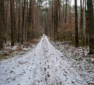 Działka rekreacyjna na sprzedaż Jamborek 1 200m2 Foto 5