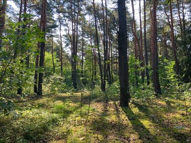 Działka 1861 m2 w prestiżowej Magdalence z mediami działka Magdalenka