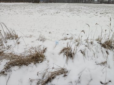 Polecam działkę 15 000 m² pod handel i usługi w Gliwicach działka Gliwice