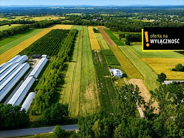 Działka 13 900 m² w Niemścicach - z możliwością zabudowy działka Niemścice