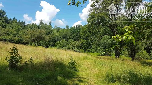 działka na sprzedaż 5000m2 działka Siary