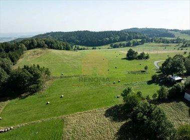 Działka 350 m² z widokiem na góry, bez pozwolenia, zapraszam działka Pastewnik