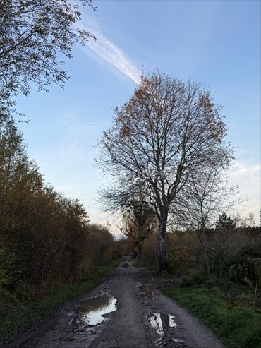 działka na sprzedaż 600m2 działka Gruszczyn, Mechowska