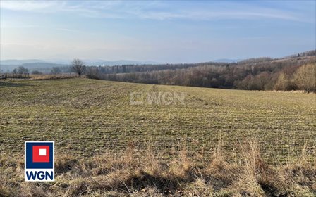 działka na sprzedaż 1501m2 działka Dziwiszów, Dziwiszów, Podgórska