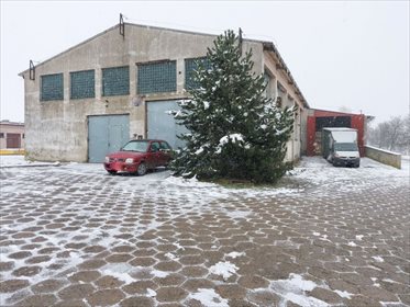 Magazyn na sprzedaż Daszyna 1 000m2 Foto 1