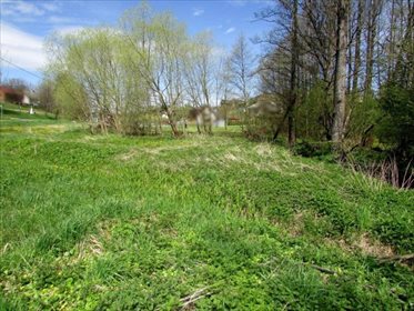 Działka inwestycyjna na sprzedaż Szklary, Szklary, Szklary 1 800m2 Foto 6