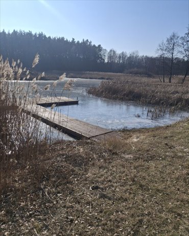 Lokal użytkowy na sprzedaż Tartak 52 600m2 Foto 7