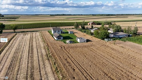 Widokowa działka z domem i budynkami gospodarczych polecam dom Ożarów, Prusy, Ożarów