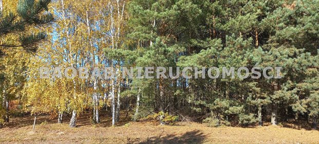 Działka na sprzedaż 13000m2 działka Śródborze