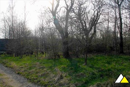 działka na sprzedaż 1050m2 działka Świecie