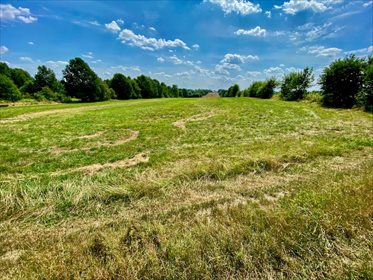 Działka rolna na sprzedaż Łódź, Bałuty, Nowe Moskule, Strykowska 19 996m2 Foto 3