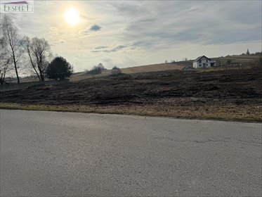 działka na sprzedaż 9812m2 działka Dąbrowa Górnicza, Błędów, EKSPERT 695 960 915